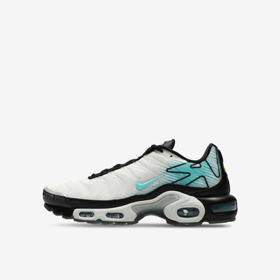 Nike Air Max Plus Mercurial Vapor