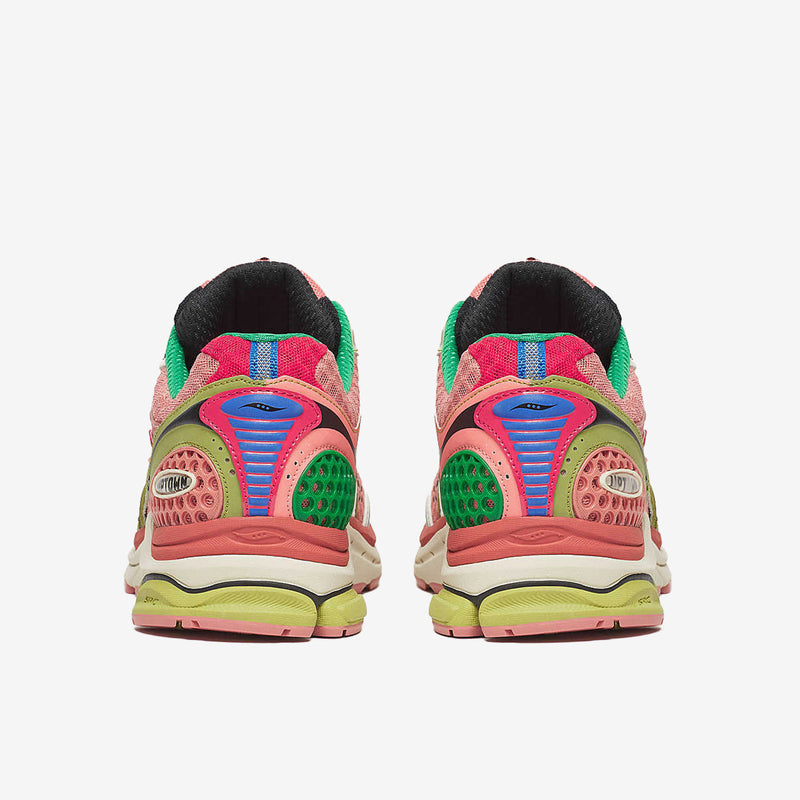 Saucony ProGrid Triumph 4 Jae Tips Flowers Grow Uptown Virginia Creeper