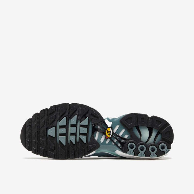 Nike Air Max Plus Origins Waterway