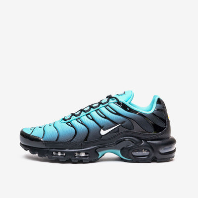 Nike Air Max Plus Light Retro Blue