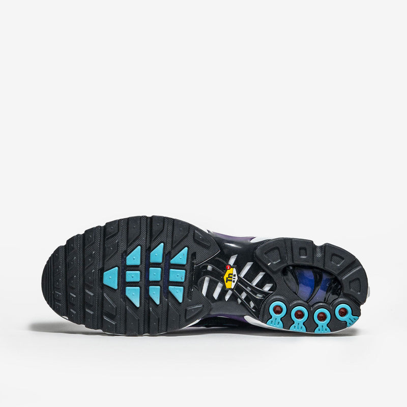 Nike Air Max Plus Reverse Grape