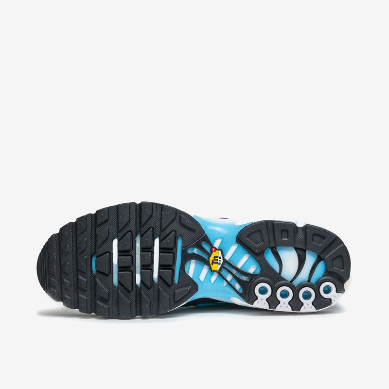 Nike Air Max Plus Baltic Blue